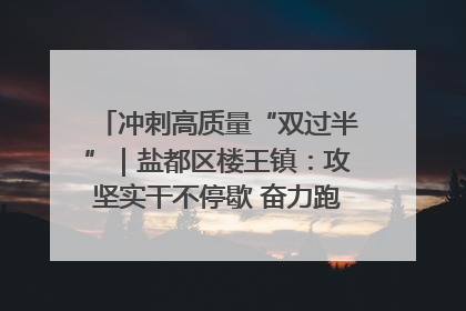 冲刺高质量“双过半”｜盐都区楼王镇：攻坚实干不停歇 奋力跑赢“上半场”