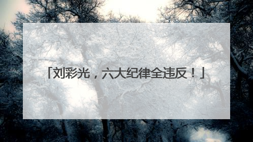 刘彩光，六大纪律全违反！