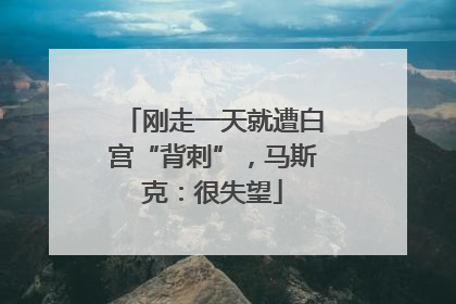 刚走一天就遭白宫“背刺”，马斯克：很失望