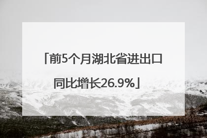 前5个月湖北省进出口同比增长26.9%