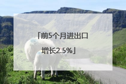 前5个月进出口增长2.5%