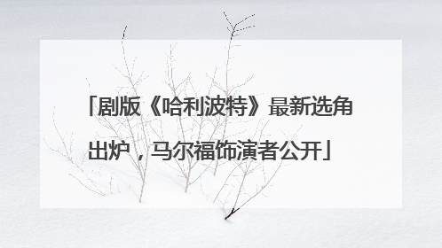 剧版《哈利波特》最新选角出炉，马尔福饰演者公开