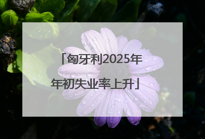 匈牙利2025年年初失业率上升