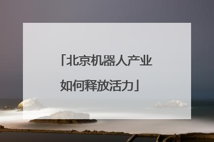 北京机器人产业如何释放活力