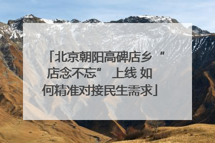 北京朝阳高碑店乡“店念不忘” 上线 如何精准对接民生需求