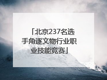 北京237名选手角逐文物行业职业技能竞赛