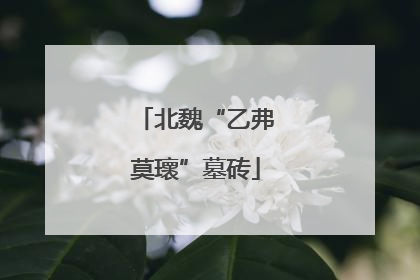 北魏“乙弗莫瓌”墓砖