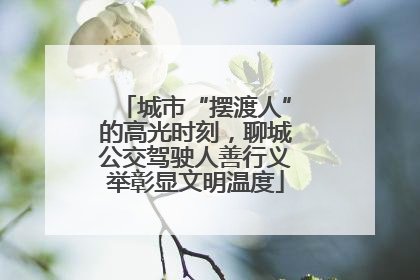 城市“摆渡人”的高光时刻，聊城公交驾驶人善行义举彰显文明温度
