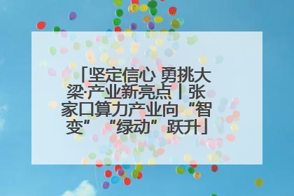 坚定信心 勇挑大梁·产业新亮点丨张家口算力产业向“智变”“绿动”跃升