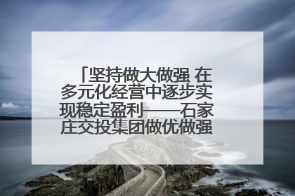 坚持做大做强 在多元化经营中逐步实现稳定盈利——石家庄交投集团做优做强典型报道之三