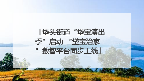 垡头街道“垡宝演出季”启动 “垡宝治家”数智平台同步上线