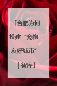 合肥为何投建“宠物友好城市”｜智库