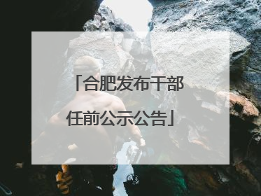 合肥发布干部任前公示公告