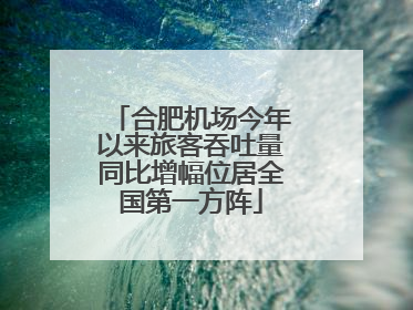 合肥机场今年以来旅客吞吐量同比增幅位居全国第一方阵