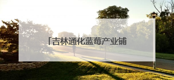 吉林通化蓝莓产业铺就“绿富同兴”新路