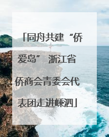 同舟共建“侨爱岛” 浙江省侨商会青委会代表团走进嵊泗