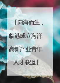 向海而生，临港成立海洋高新产业青年人才联盟
