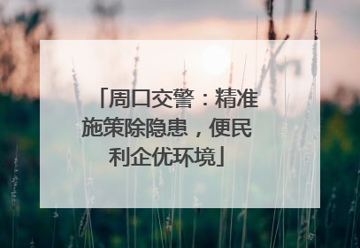 周口交警：精准施策除隐患，便民利企优环境