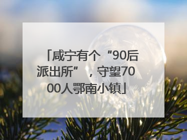 咸宁有个“90后派出所”，守望7000人鄂南小镇