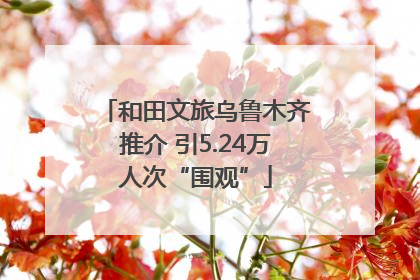 和田文旅乌鲁木齐推介 引5.24万人次“围观”