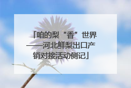 咱的梨“香”世界——河北鲜梨出口产销对接活动侧记