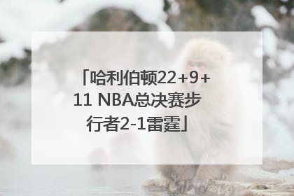 哈利伯顿22+9+11 NBA总决赛步行者2-1雷霆