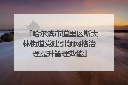 哈尔滨市道里区斯大林街道党建引领网格治理提升管理效能
