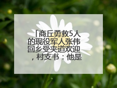商丘勇救5人的现役军人张伟回乡受夹道欢迎，村支书：他是本村的骄傲