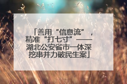 善用“信息流”，精准“打七寸”——湖北公安省市一体深挖串并力破民生案