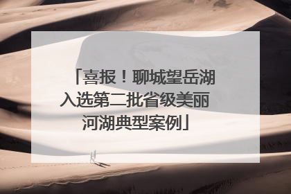 喜报！聊城望岳湖入选第二批省级美丽河湖典型案例