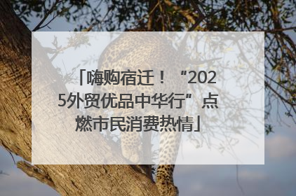 嗨购宿迁！“2025外贸优品中华行”点燃市民消费热情