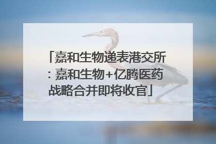 嘉和生物递表港交所：嘉和生物+亿腾医药战略合并即将收官