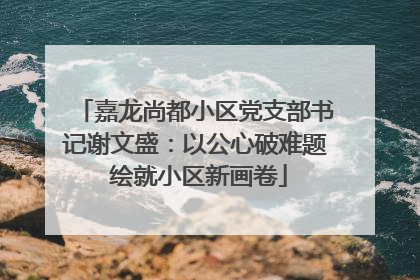嘉龙尚都小区党支部书记谢文盛：以公心破难题 绘就小区新画卷