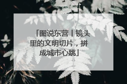 图说东营丨镜头里的文明切片，拼成城市心跳