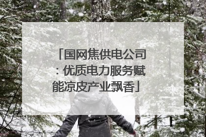 国网焦供电公司：优质电力服务赋能凉皮产业飘香