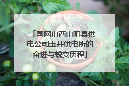 国网山西山阴县供电公司玉井供电所的奋进与蜕变历程