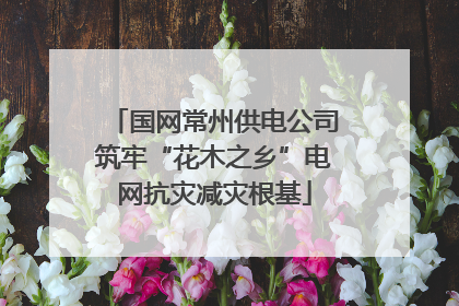 国网常州供电公司筑牢“花木之乡”电网抗灾减灾根基