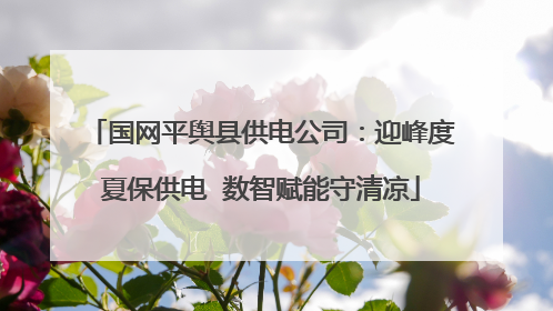 国网平舆县供电公司：迎峰度夏保供电  数智赋能守清凉