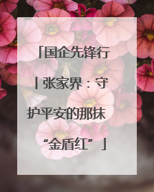 国企先锋行丨张家界：守护平安的那抹“金盾红”