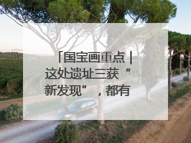 国宝画重点｜这处遗址三获“新发现”，都有啥看点？