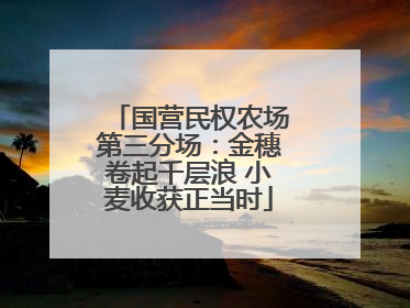 国营民权农场第三分场：金穗卷起千层浪 小麦收获正当时