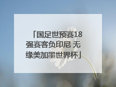 国足世预赛18强赛客负印尼 无缘美加墨世界杯