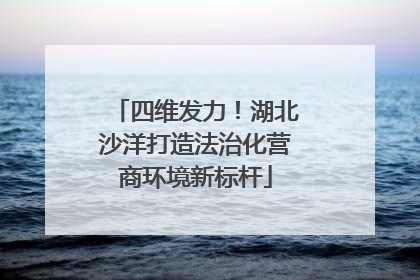 四维发力！湖北沙洋打造法治化营商环境新标杆