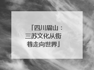 四川眉山：三苏文化从街巷走向世界