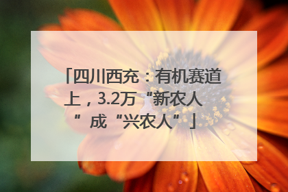 四川西充：有机赛道上，3.2万“新农人”成“兴农人”