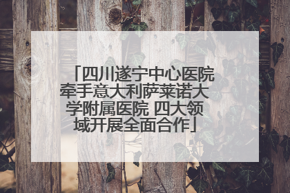 四川遂宁中心医院牵手意大利萨莱诺大学附属医院 四大领域开展全面合作