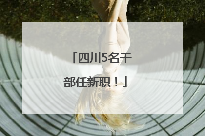 四川5名干部任新职！