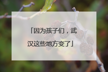 因为孩子们，武汉这些地方变了