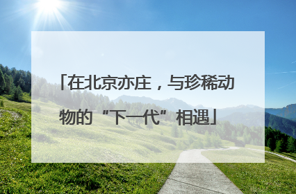 在北京亦庄，与珍稀动物的“下一代”相遇