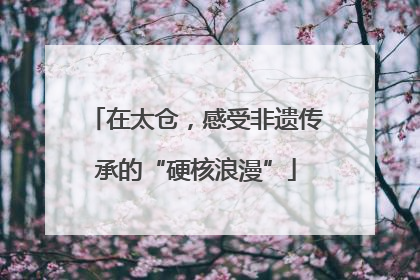 在太仓，感受非遗传承的“硬核浪漫”